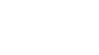 Discover Your Hidden Gem: This is the Disney Logo for the Homepage in the Brands Served section